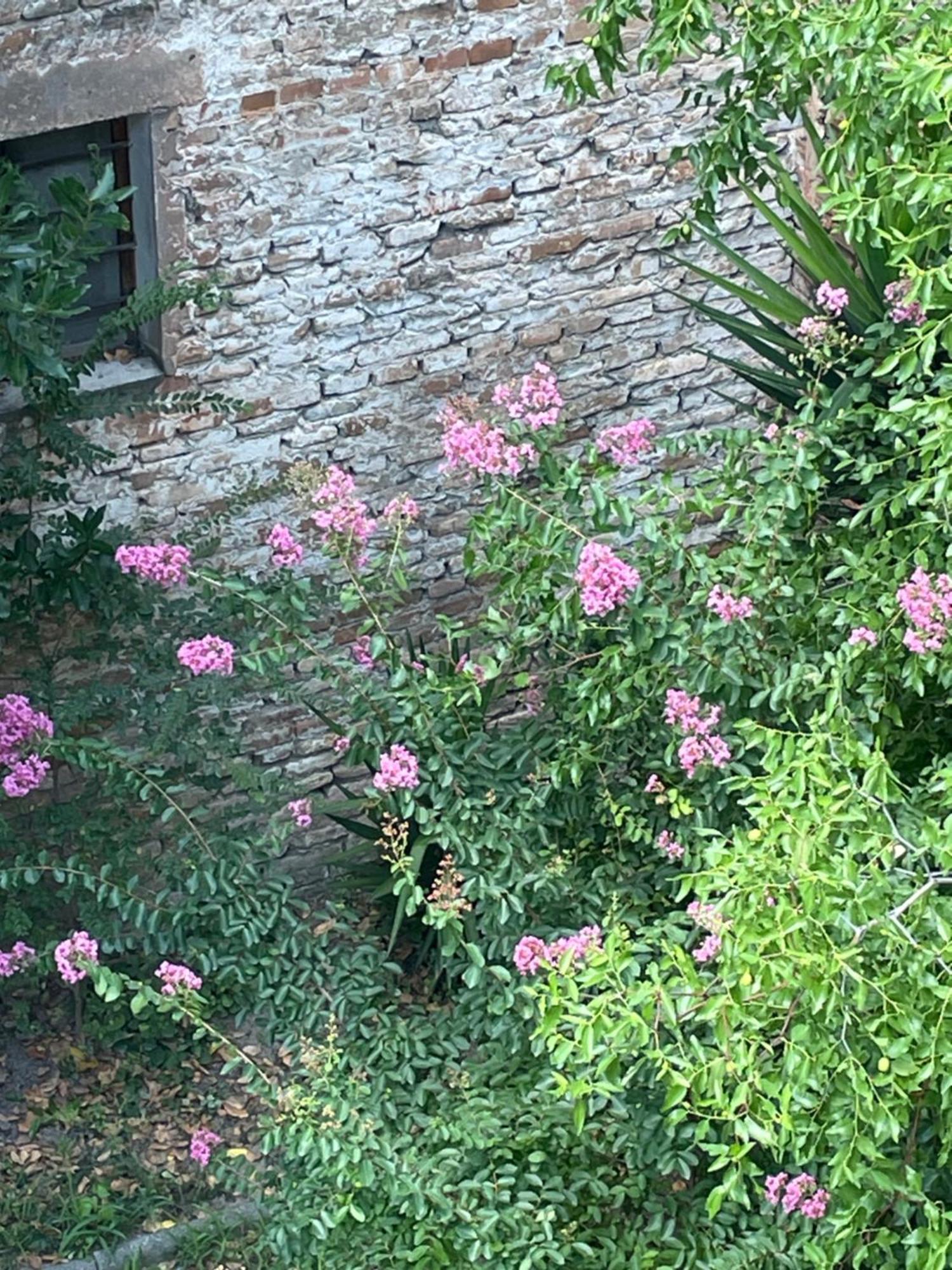 Romagna Apartments Massa Lombarda Kültér fotó